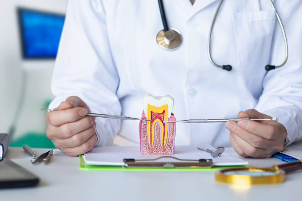 Best Emergency Dental Care for Sports Injuries in Twinsburg Heights, OH